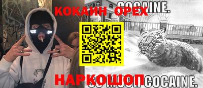 прущие грибы Обь