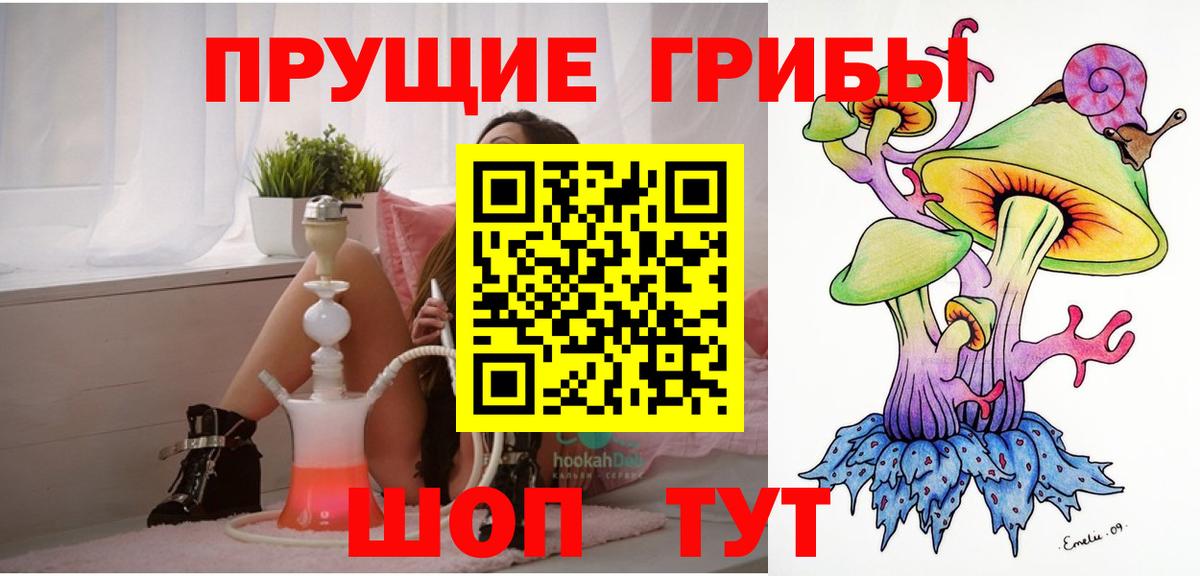 Пугачёв  Псилоцибиновые грибы Cubensis  Вход с VPN 