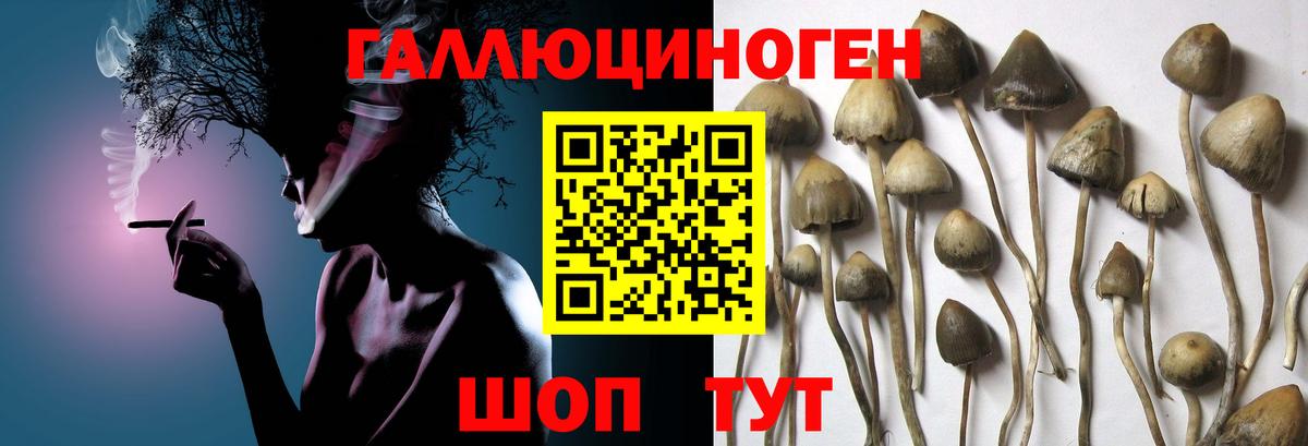Галлюциногенные грибы ЛСД Пугачёв